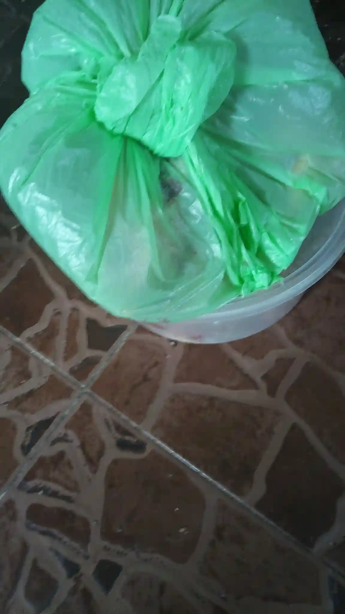 raya korban